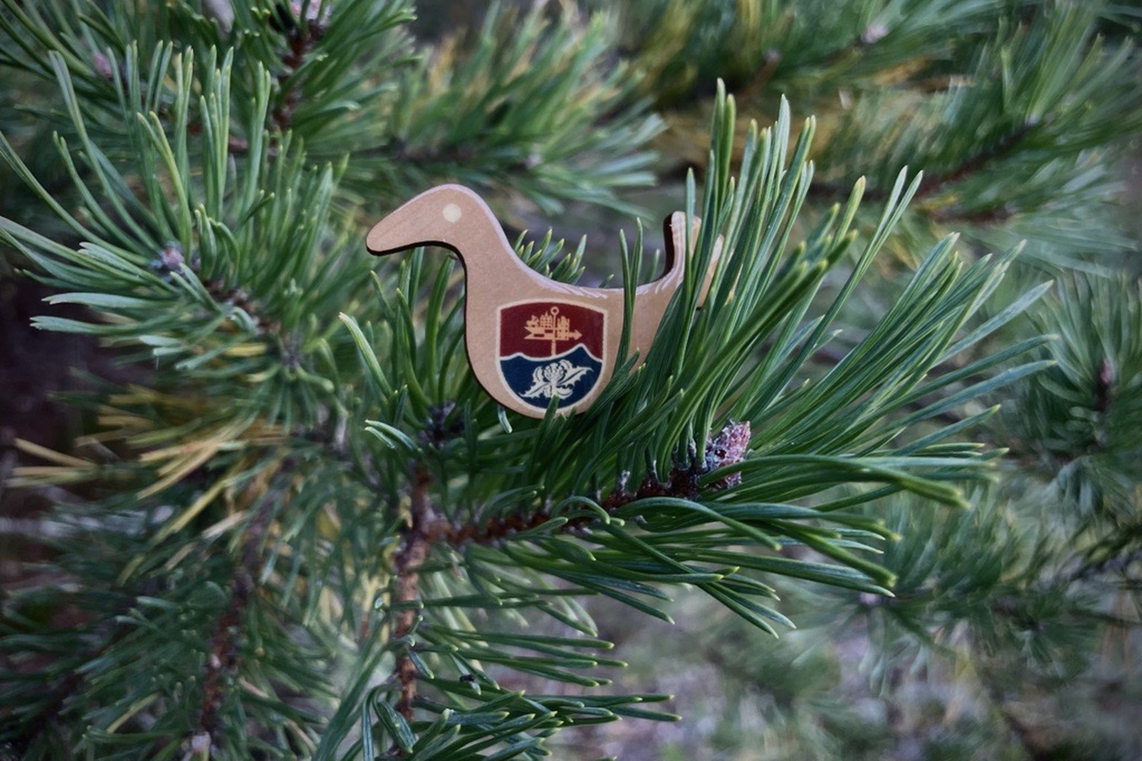 Iliustracija