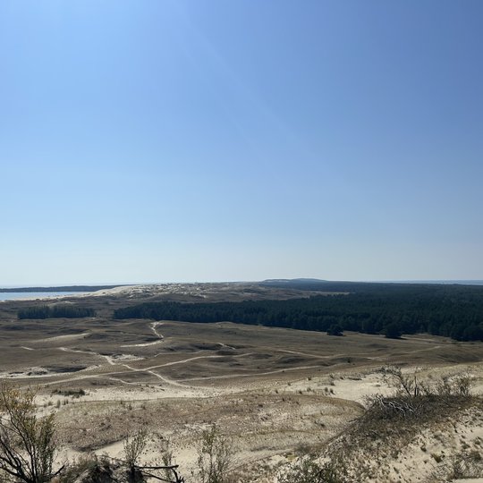 Iliustracija