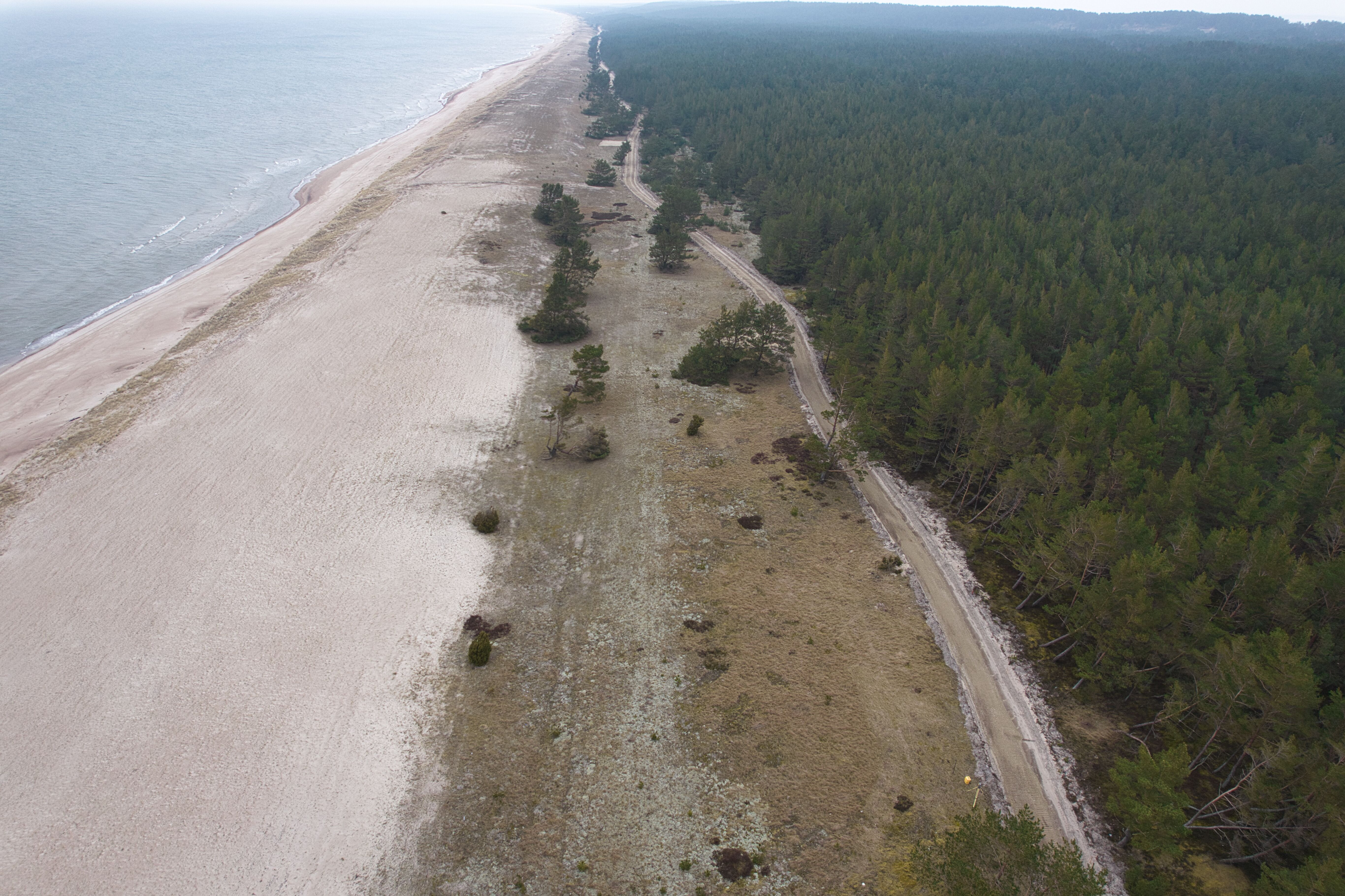 DJI_0737.jpg