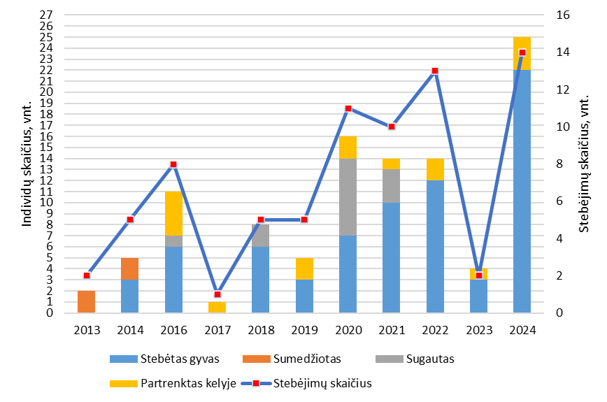 Stebėjimai 2013-2024 m.png