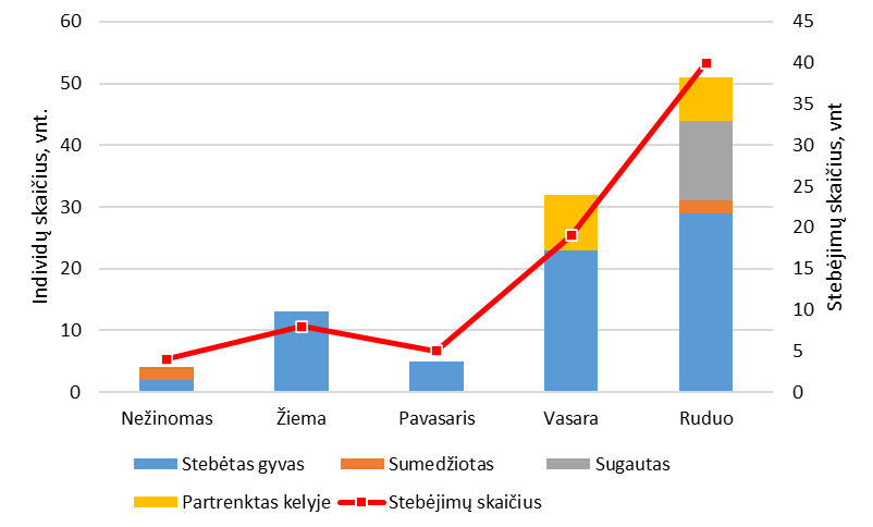 stebėjimai 2013-2024 m sezonuose.png
