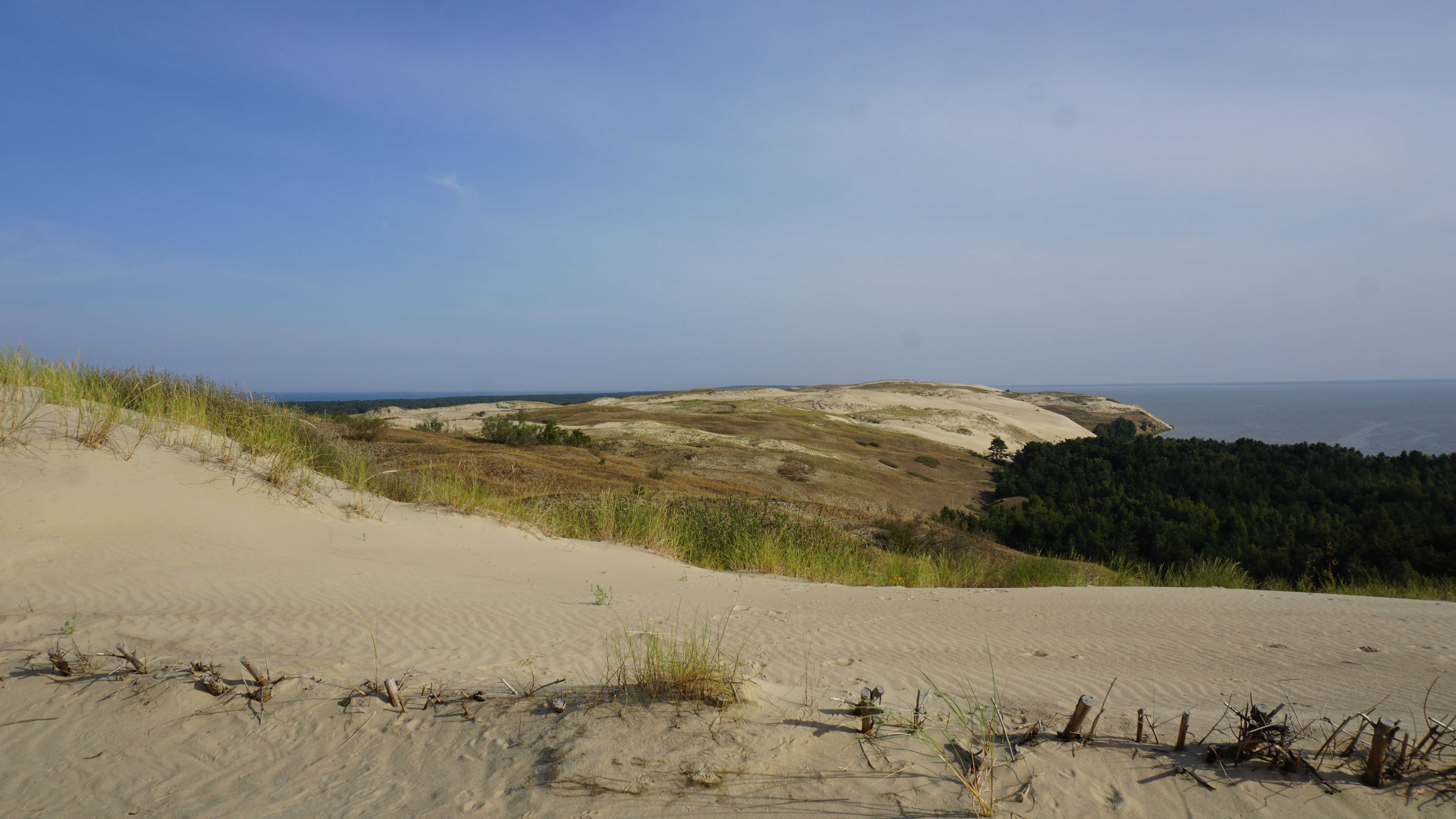 Regykla Naglių gamtiniame rezervate DSC01442.jpg