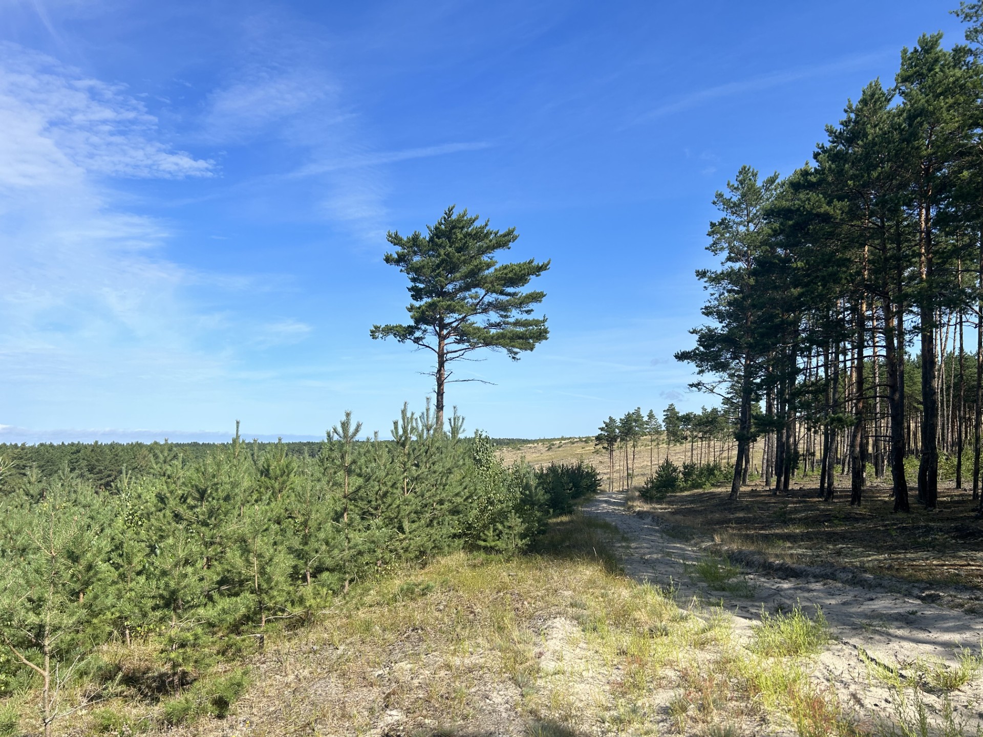 2014 gaisravietė IMG_0394.jpg