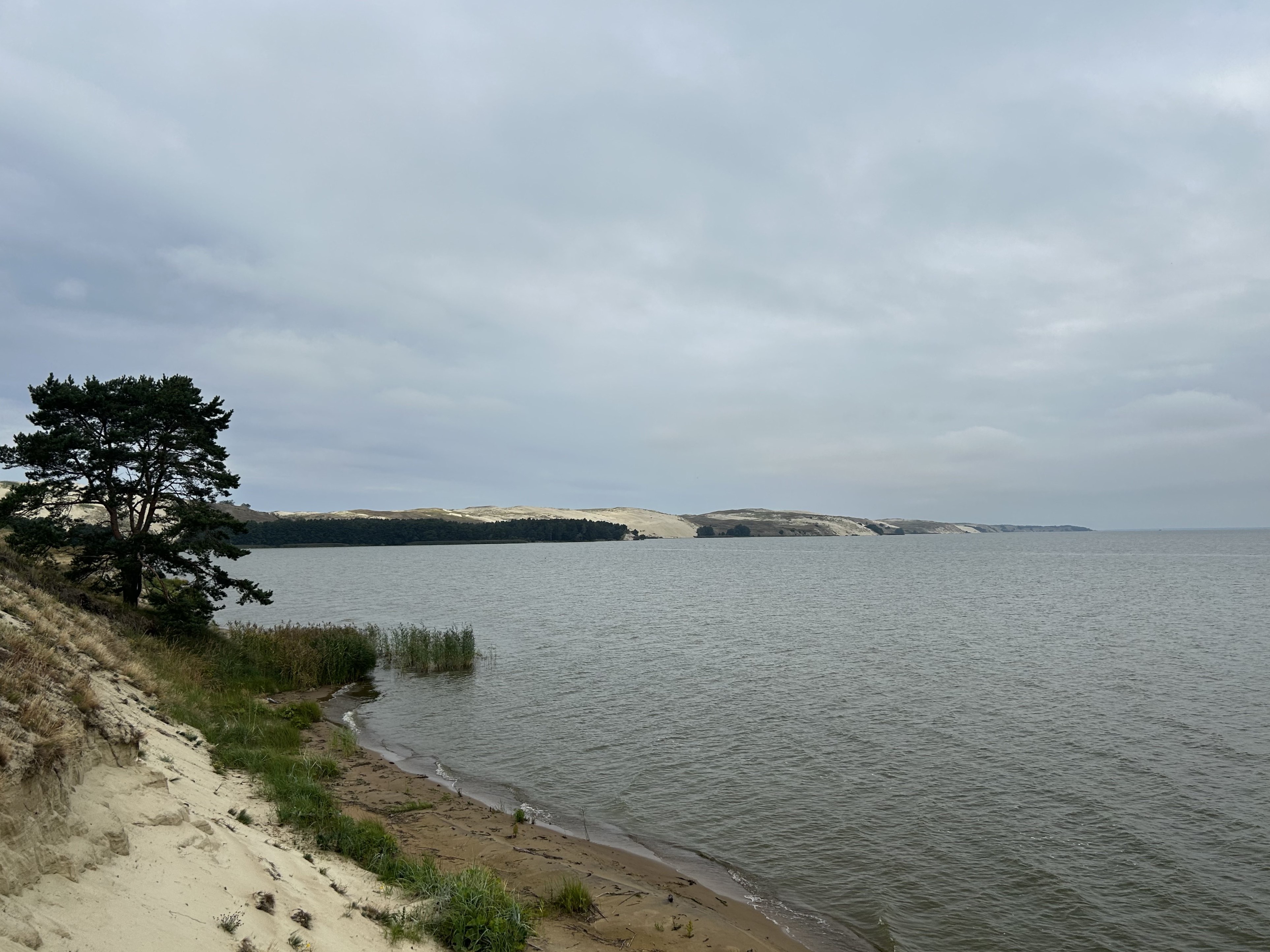 Naglių rezervatas tie birštvyno ragu DSC01415.jpeg